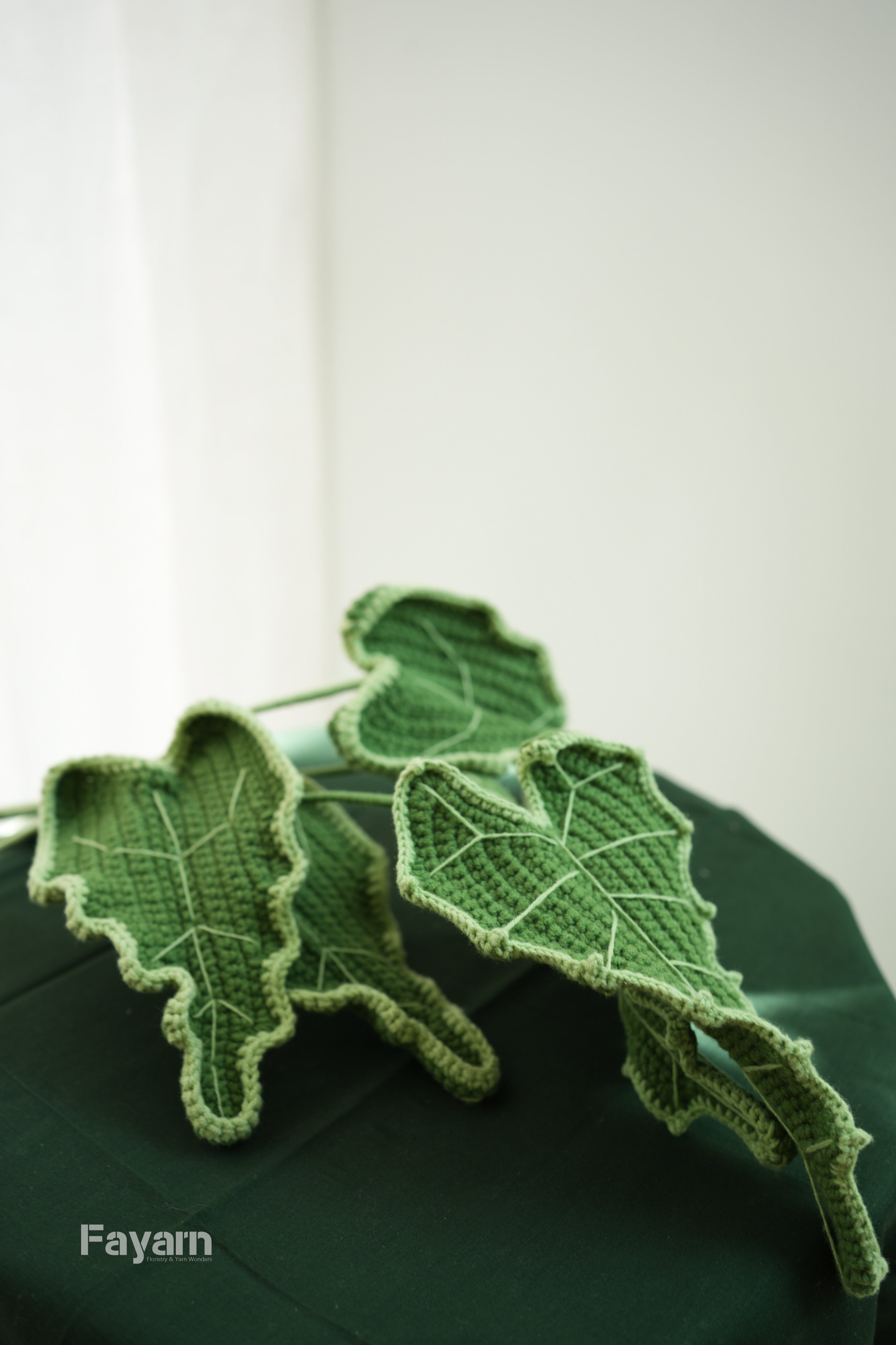 Alocasia Sarian