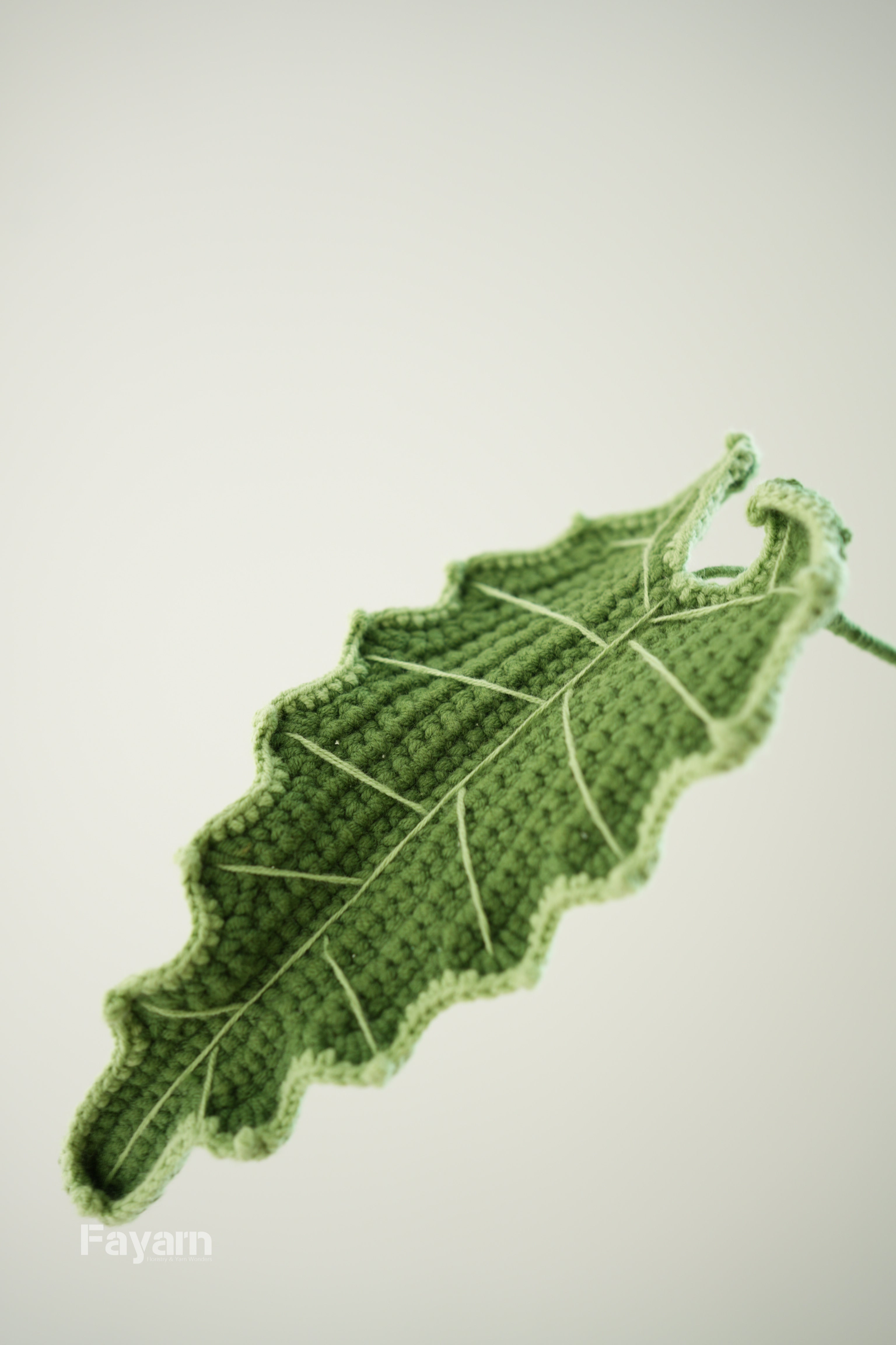 Alocasia Sarian