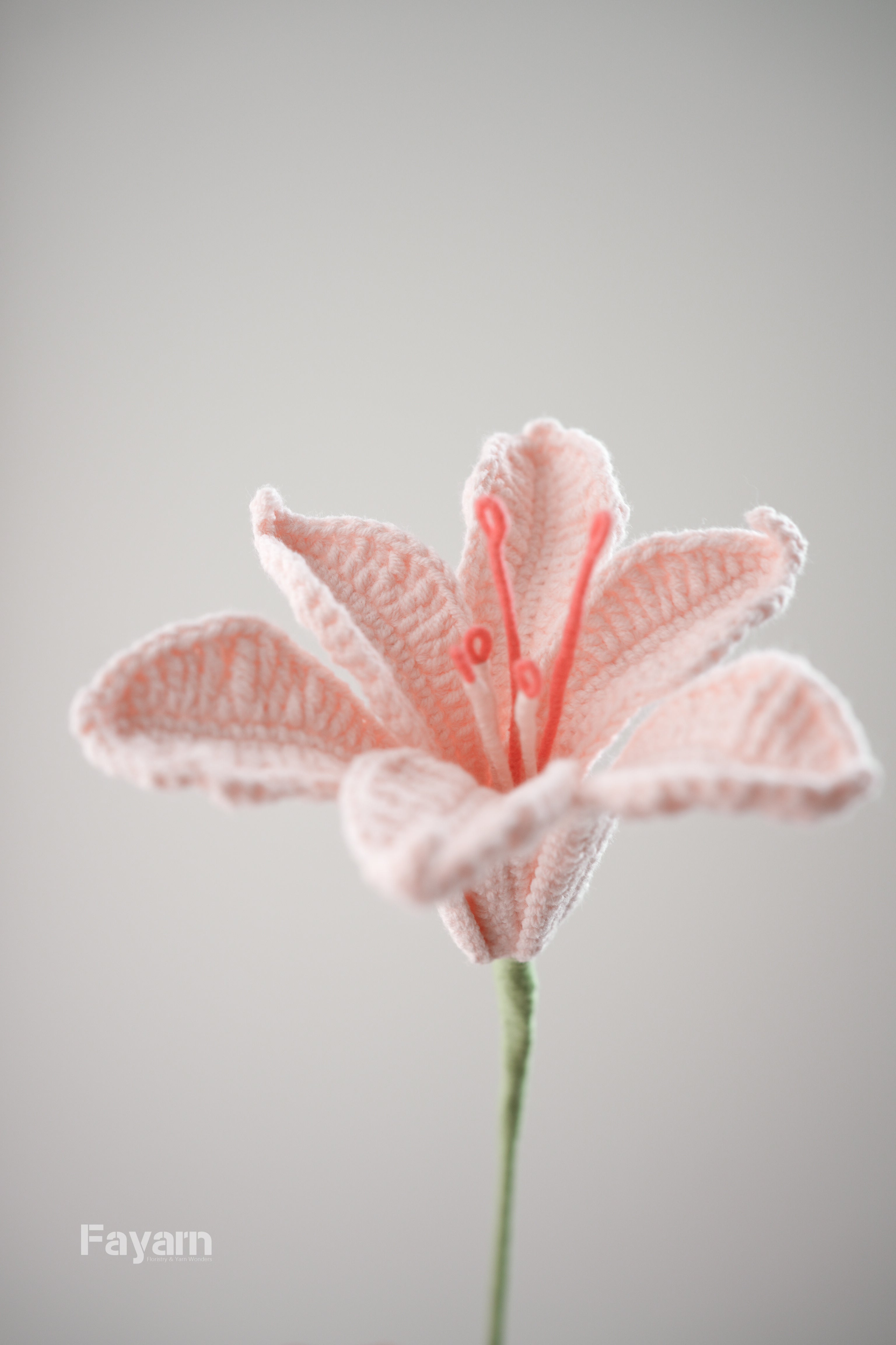 Alstroemeria (Peruvian Lily)