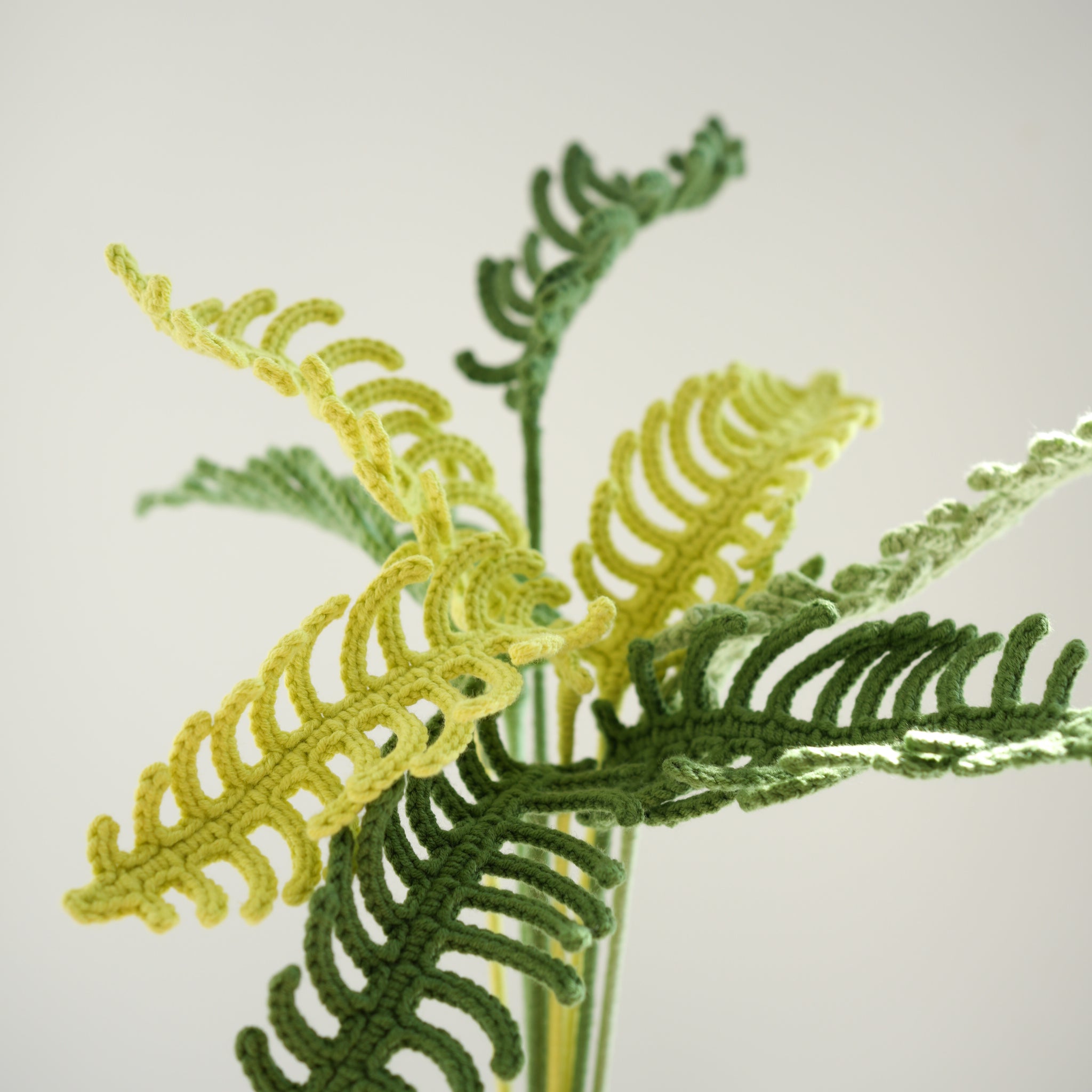 Centipede fern