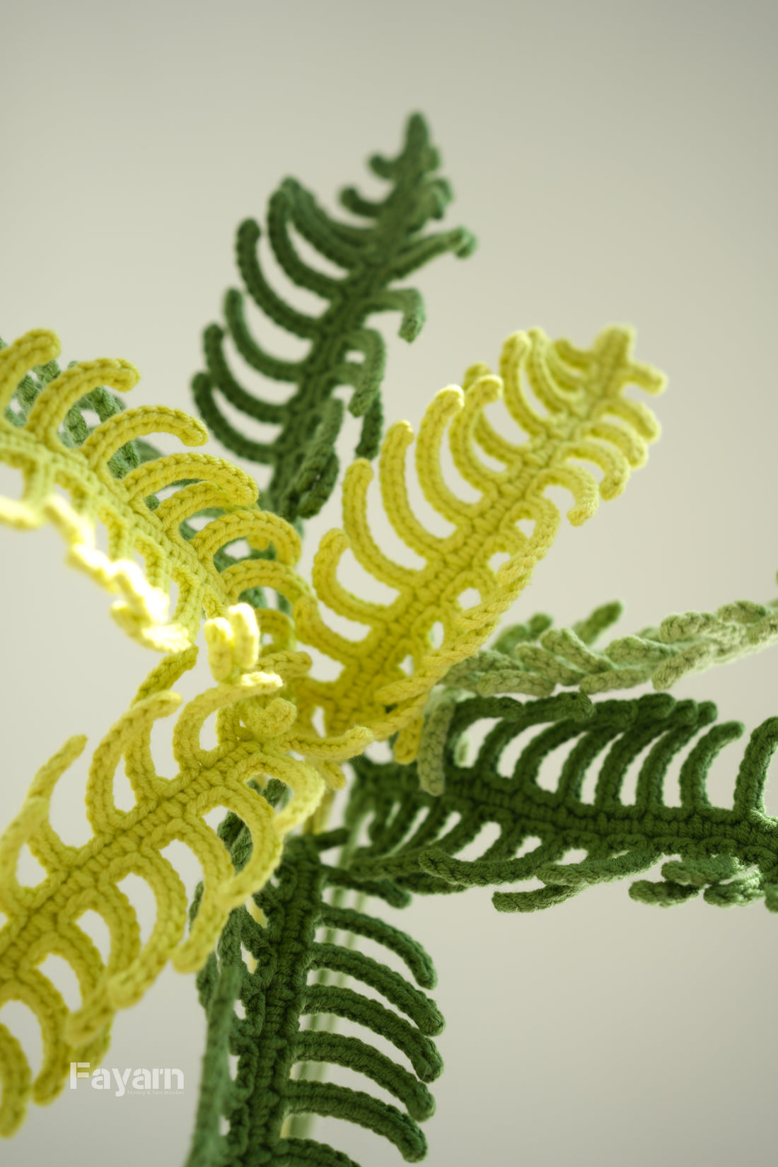 Centipede fern