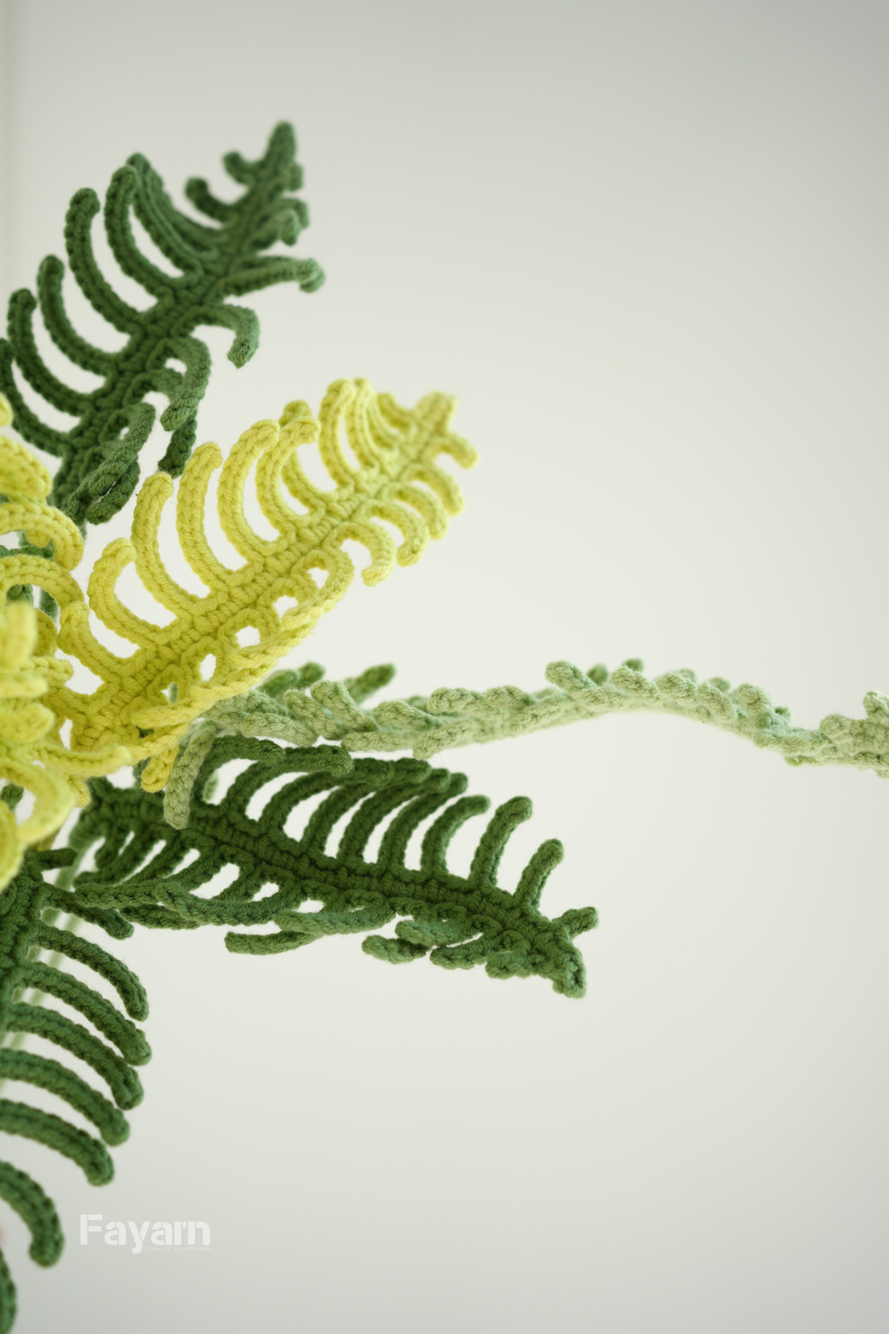 Centipede fern