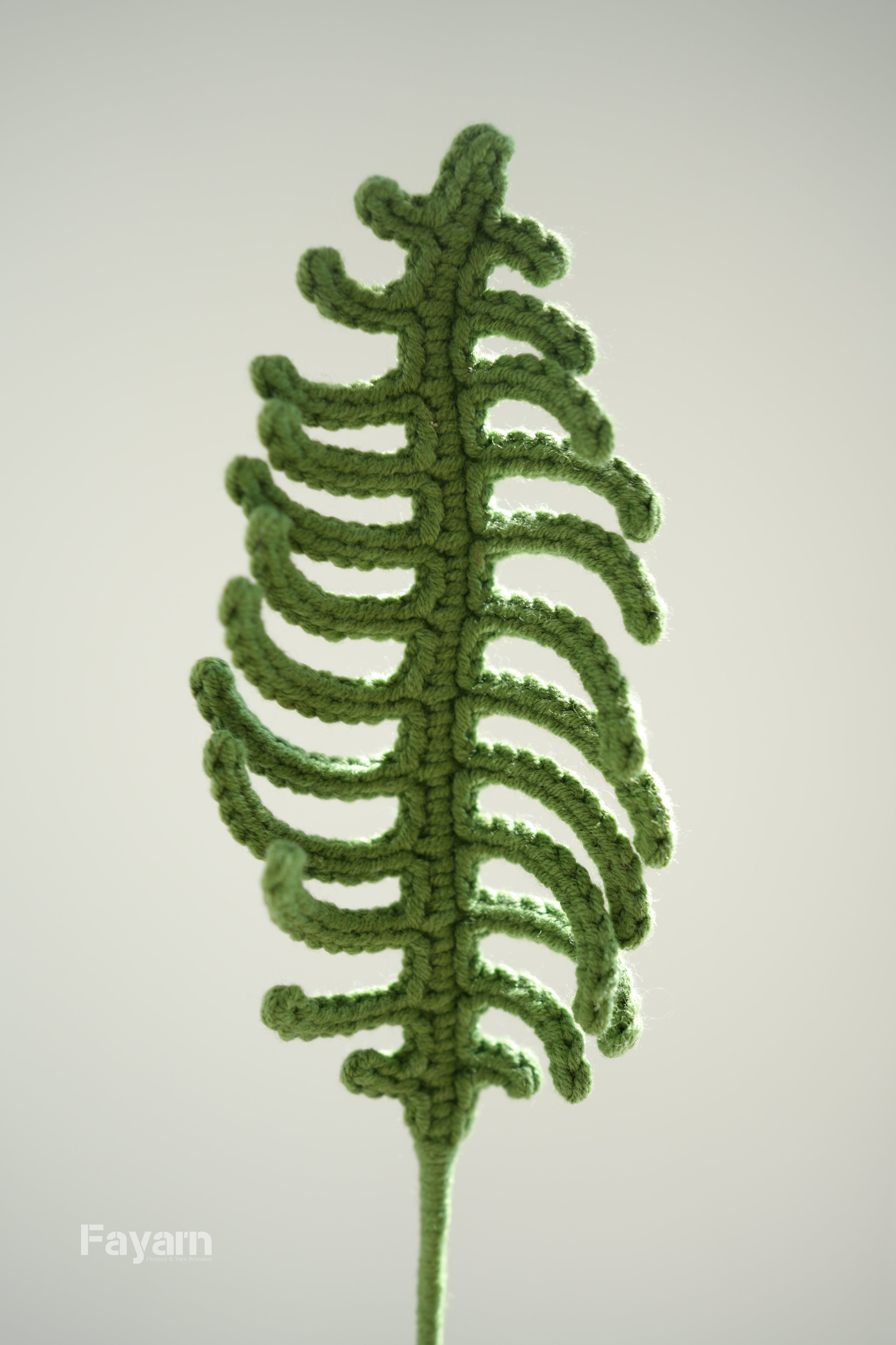 Centipede fern