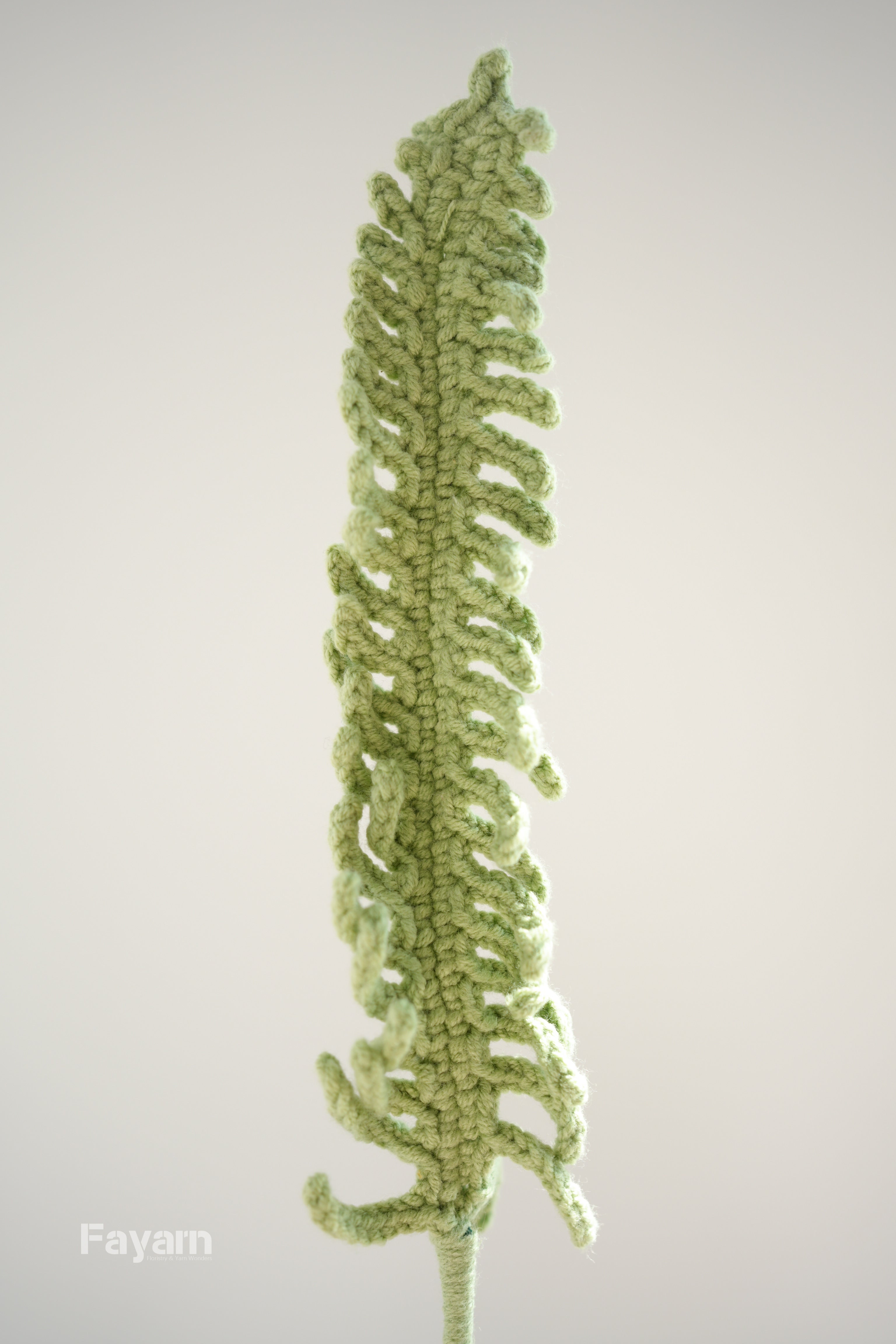 Centipede fern