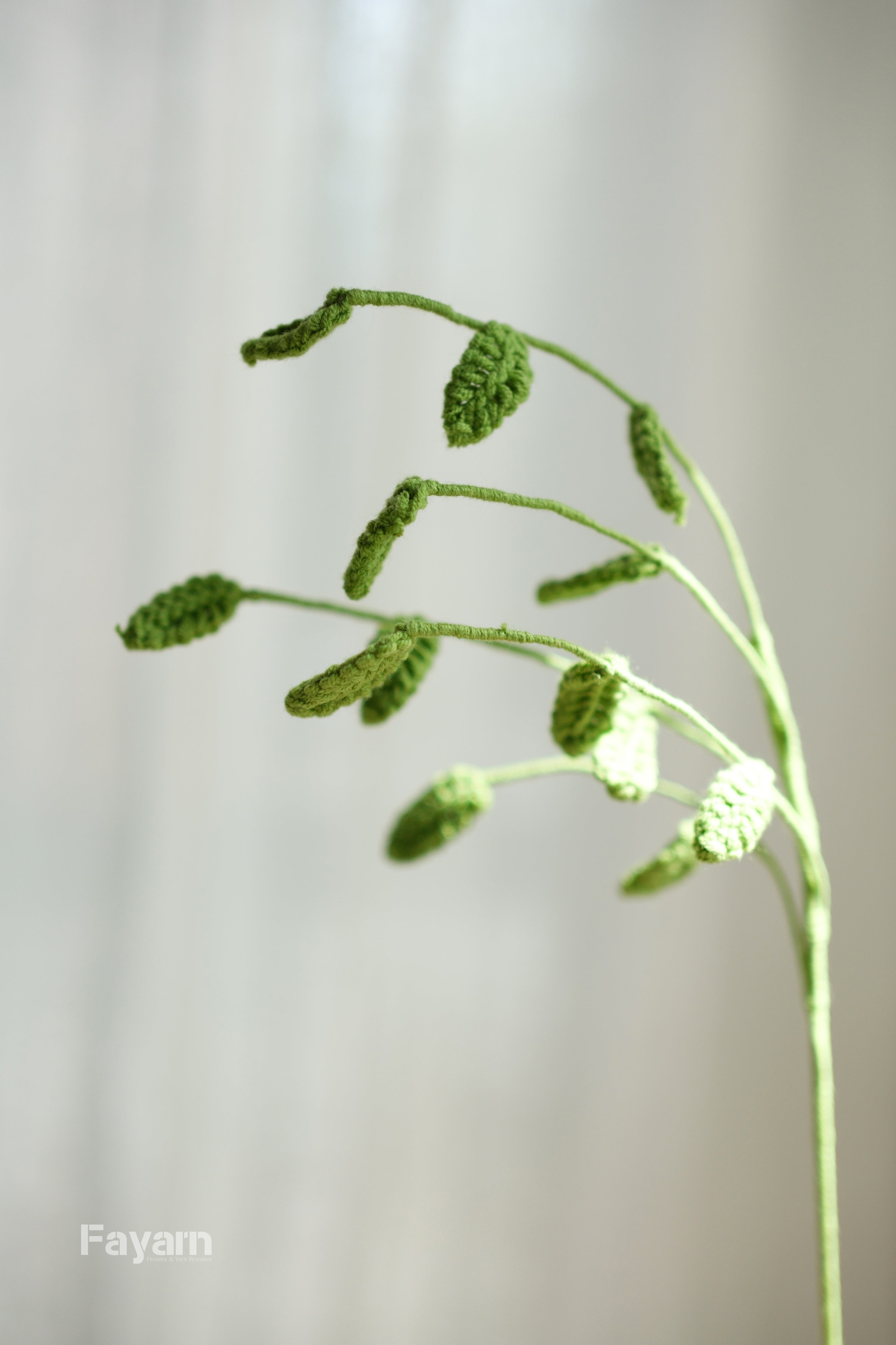 Inland Sea Oats