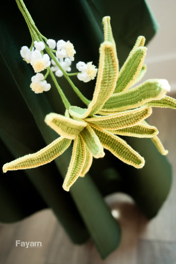 Chlorophytum Ocean (Spider Plant)