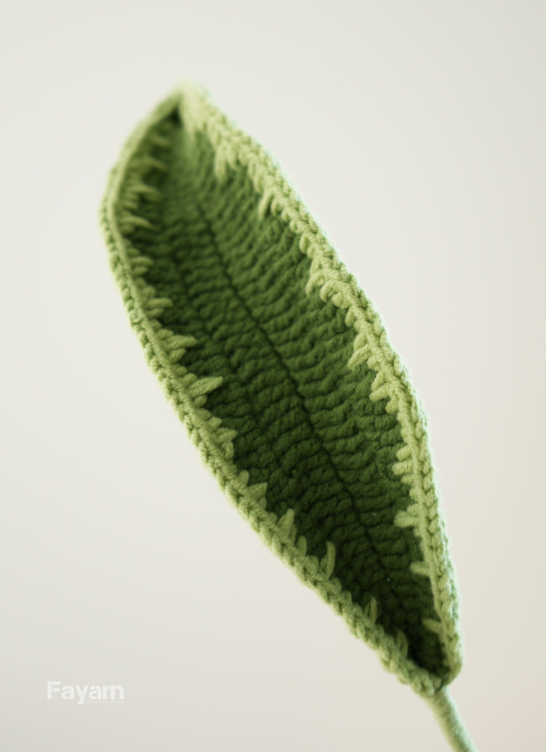 Cordyline fruticosa