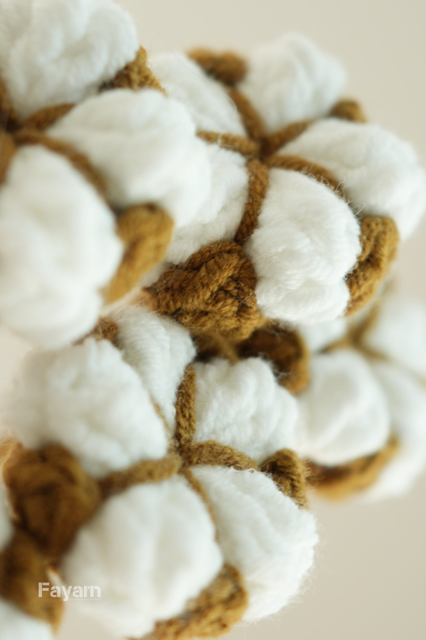 Cotton Boll