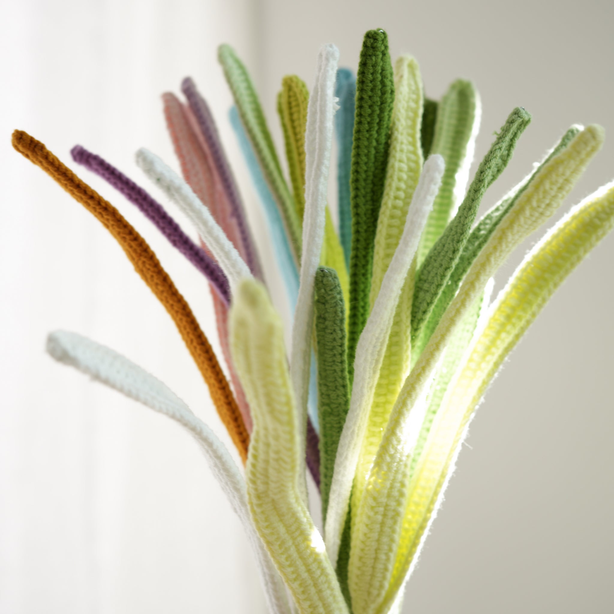 Cymbidium faberi leaves