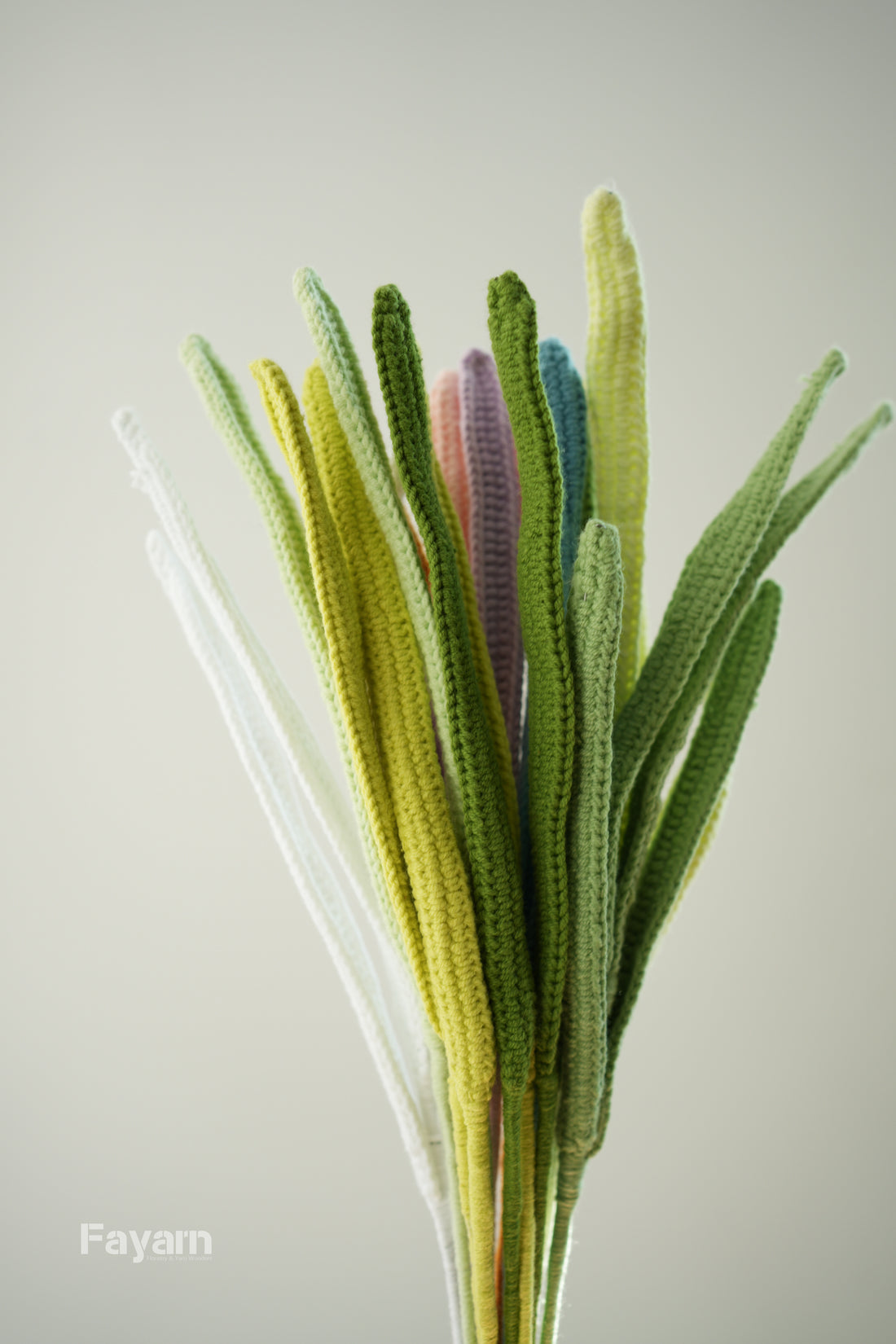 Cymbidium faberi leaves