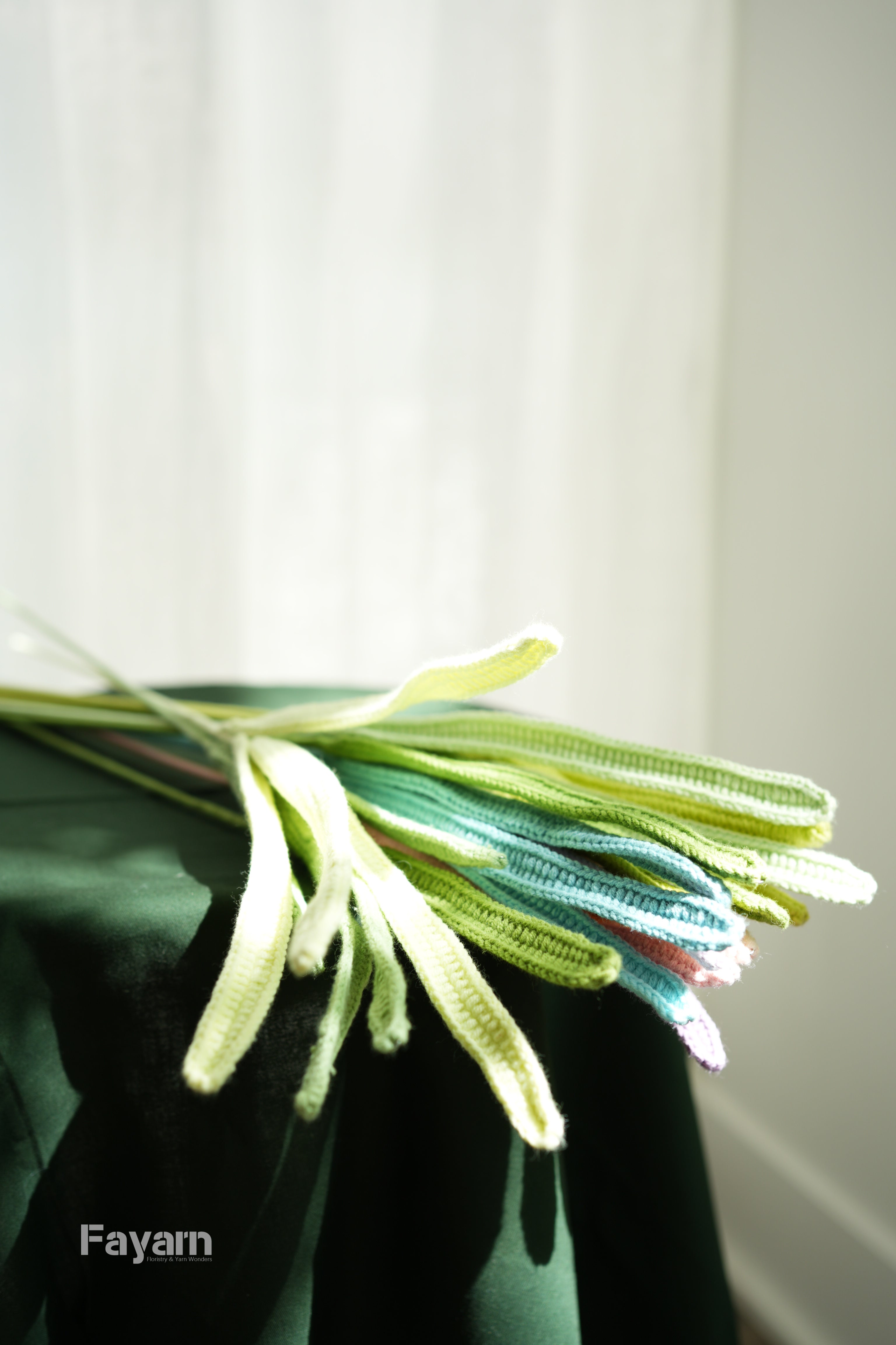 Cymbidium faberi leaves
