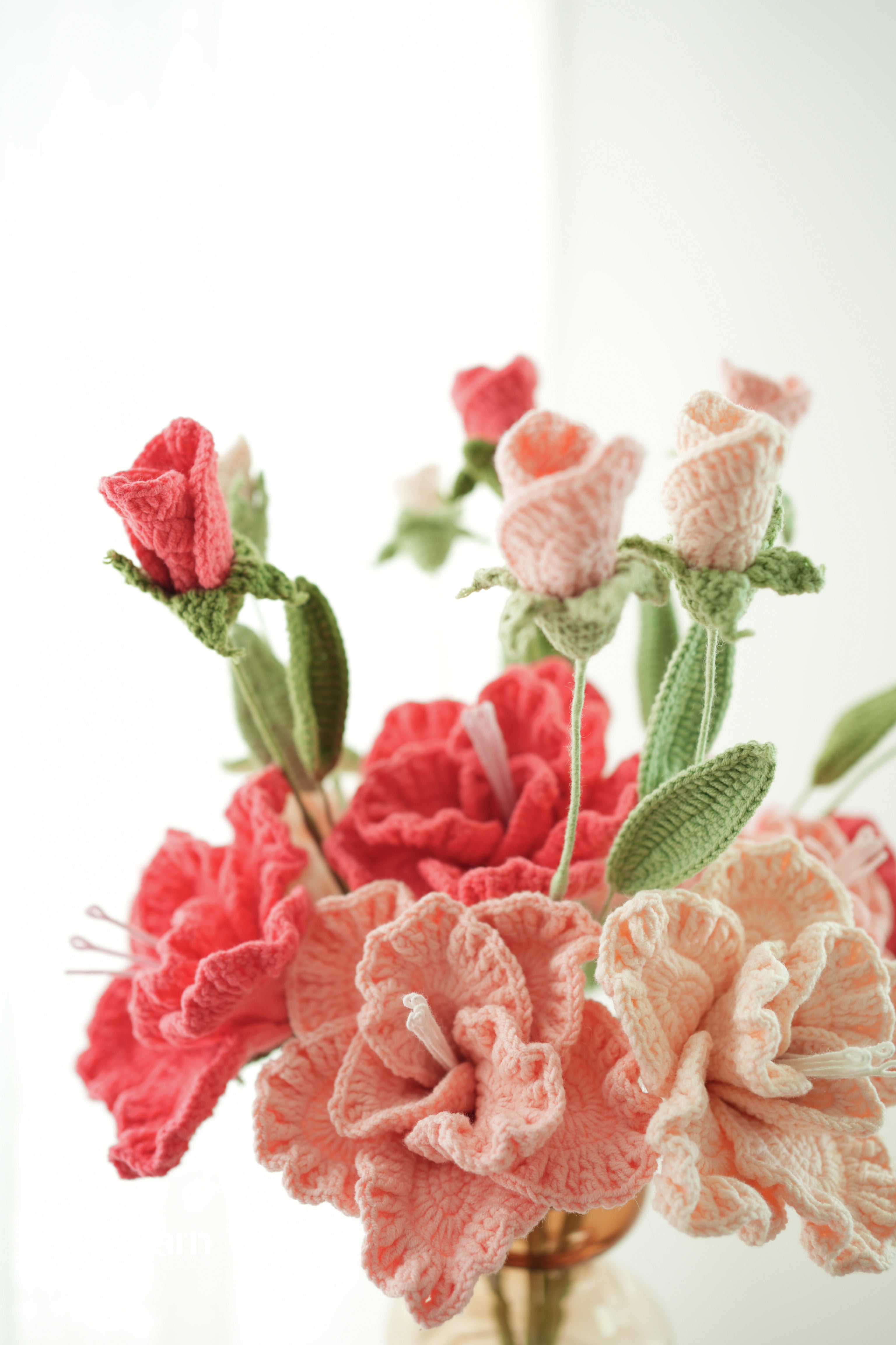 Eustoma