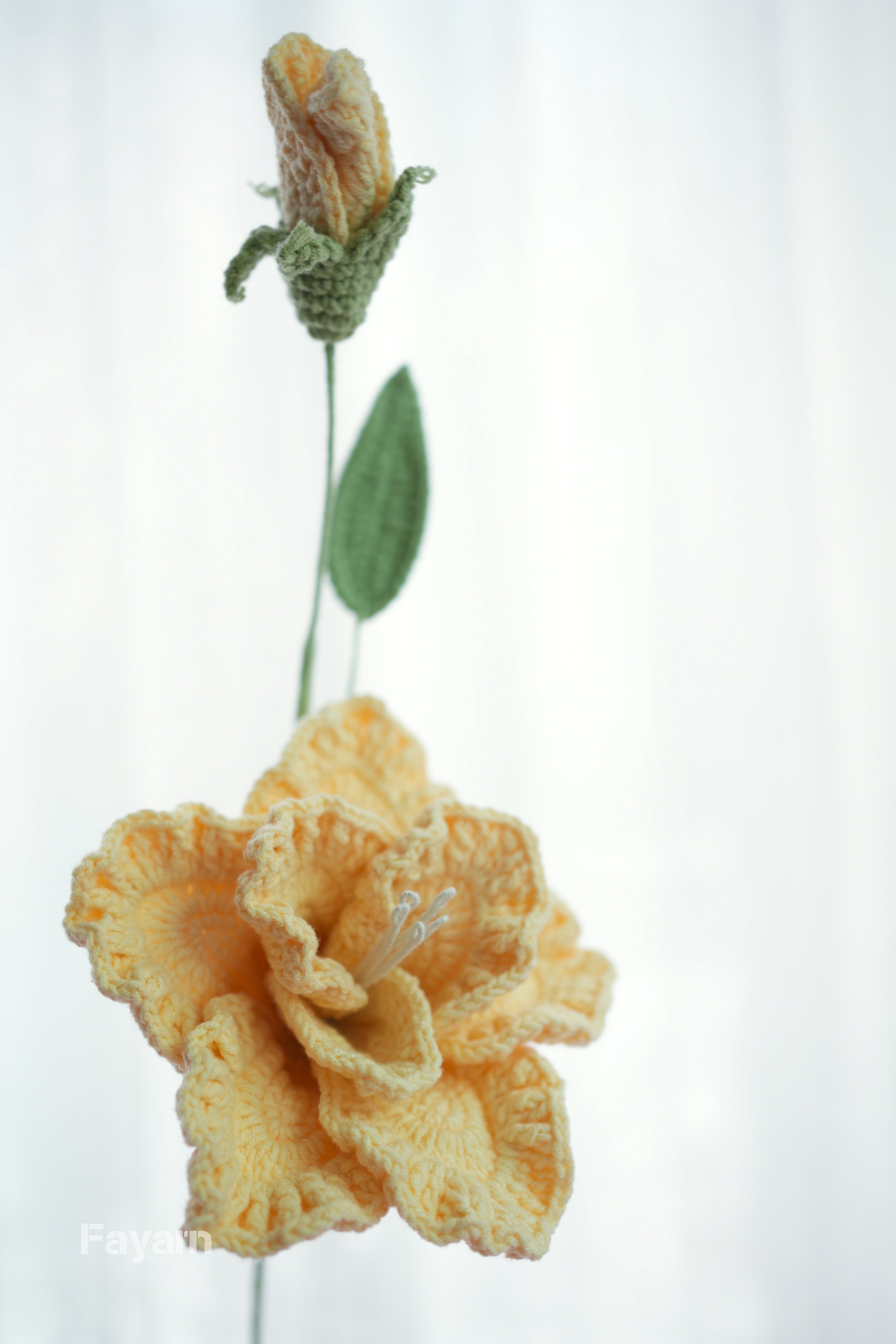 Eustoma