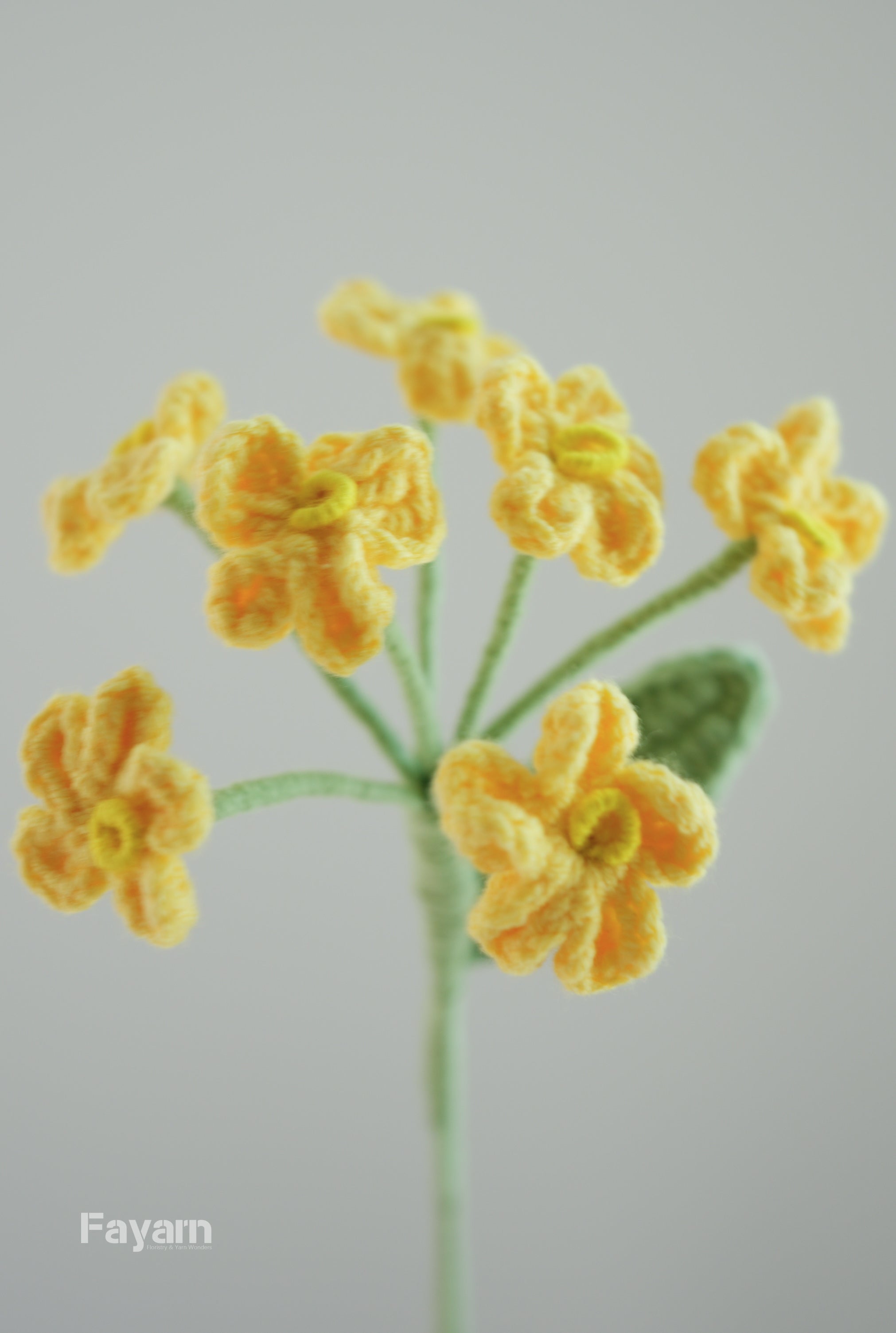 Forget-Me-Not