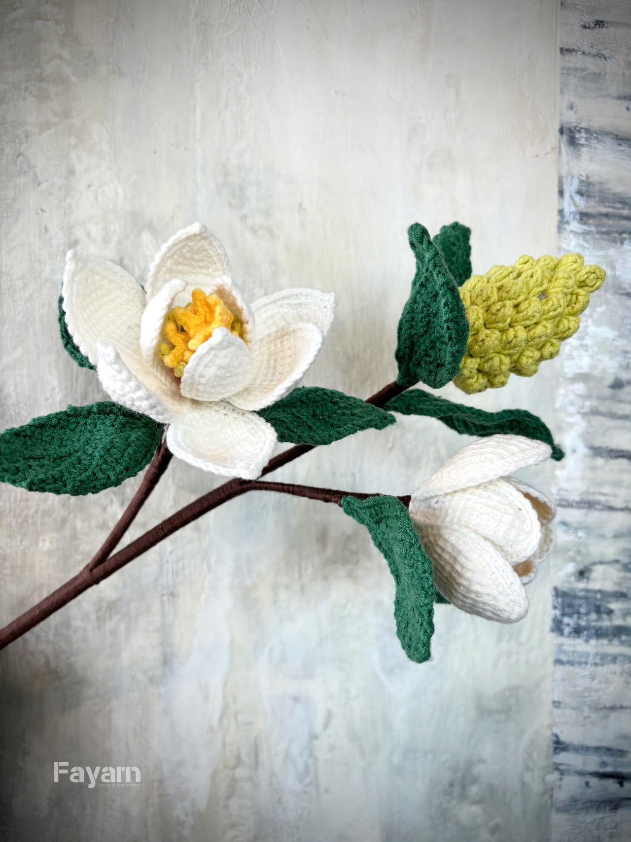 Magnolia