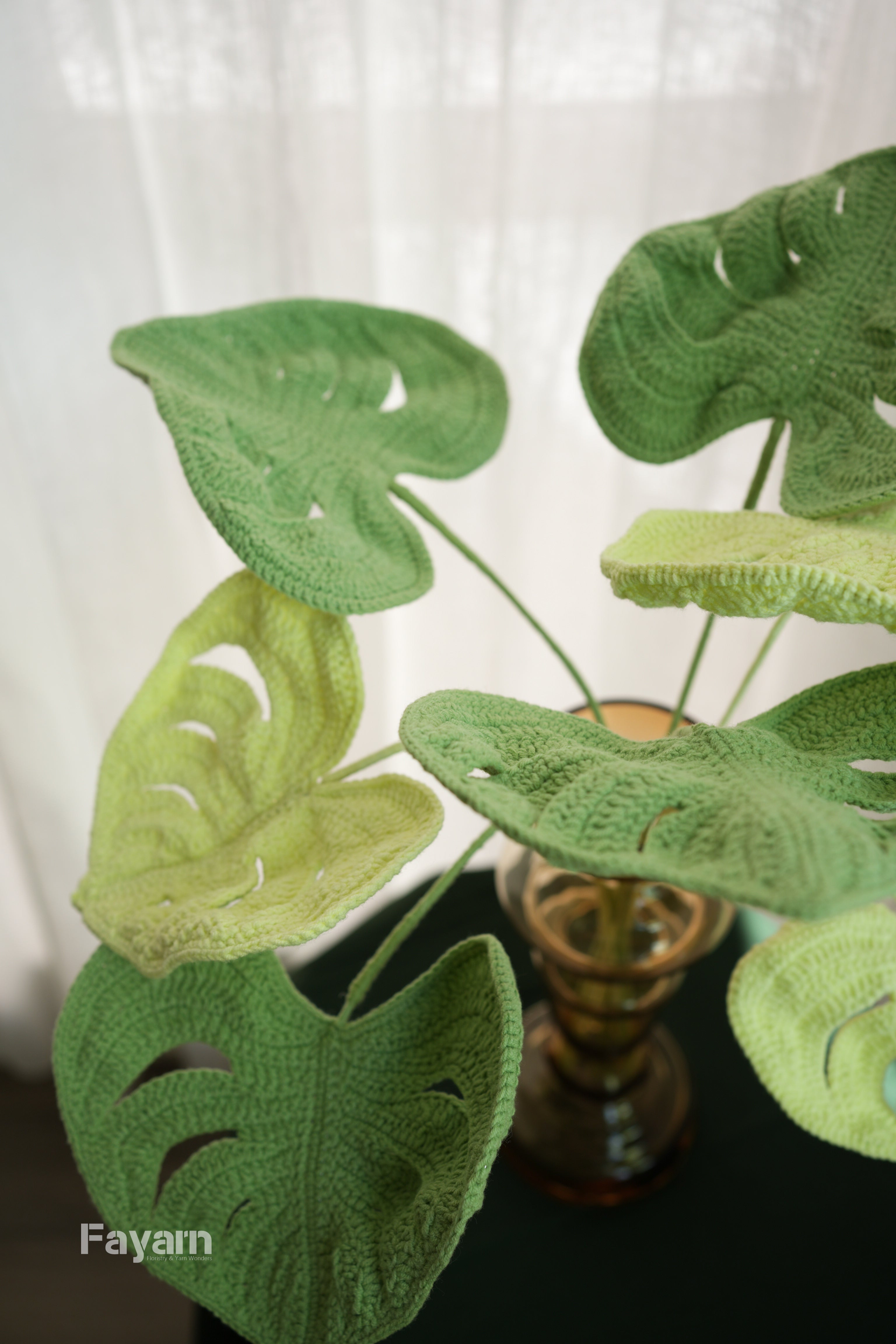 Monstera deliciosa