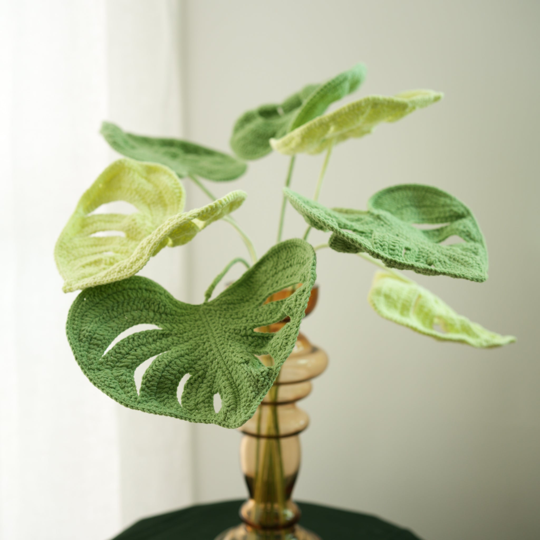 Monstera deliciosa