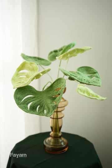 Monstera deliciosa