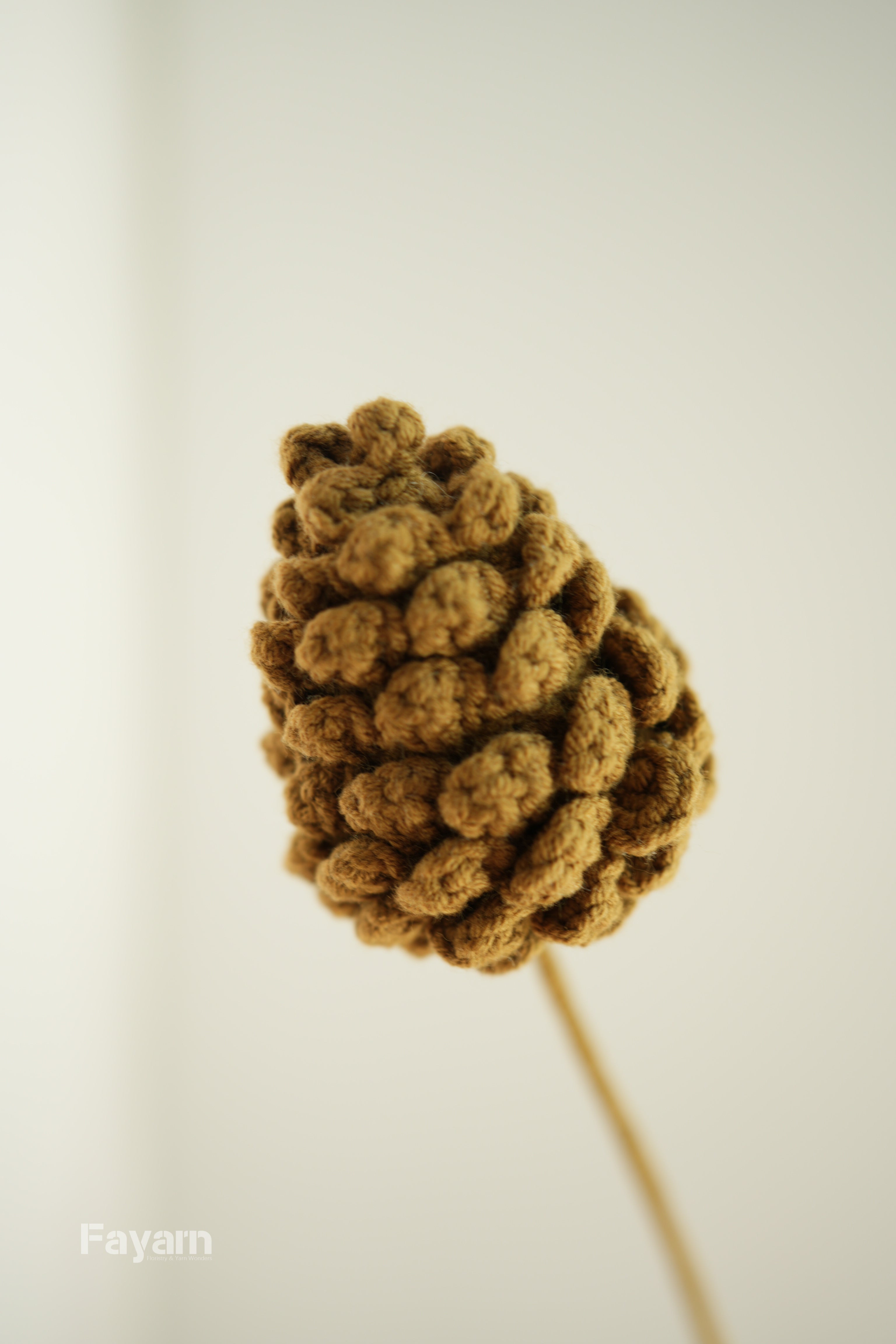 Pine Cone