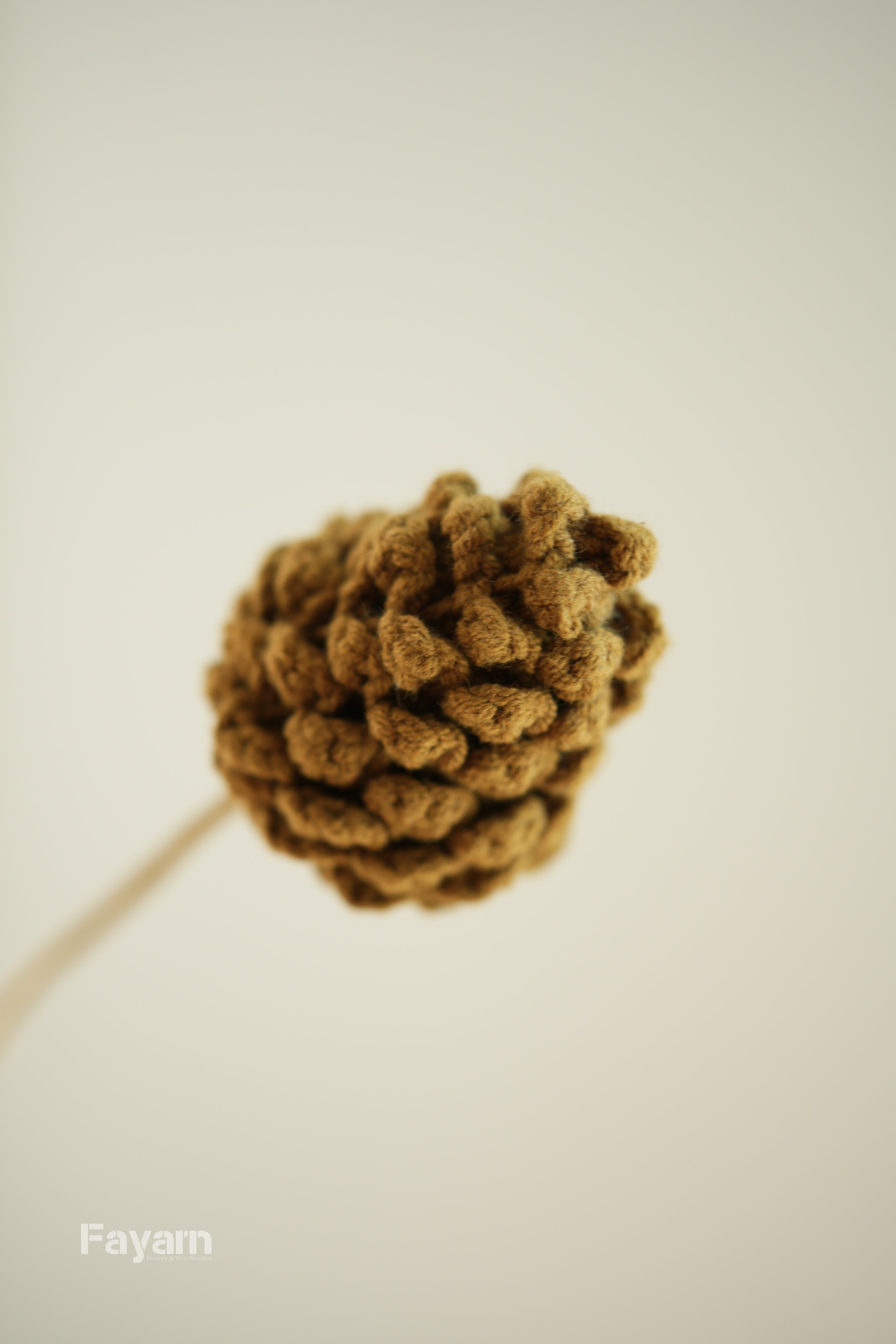 Pine Cone