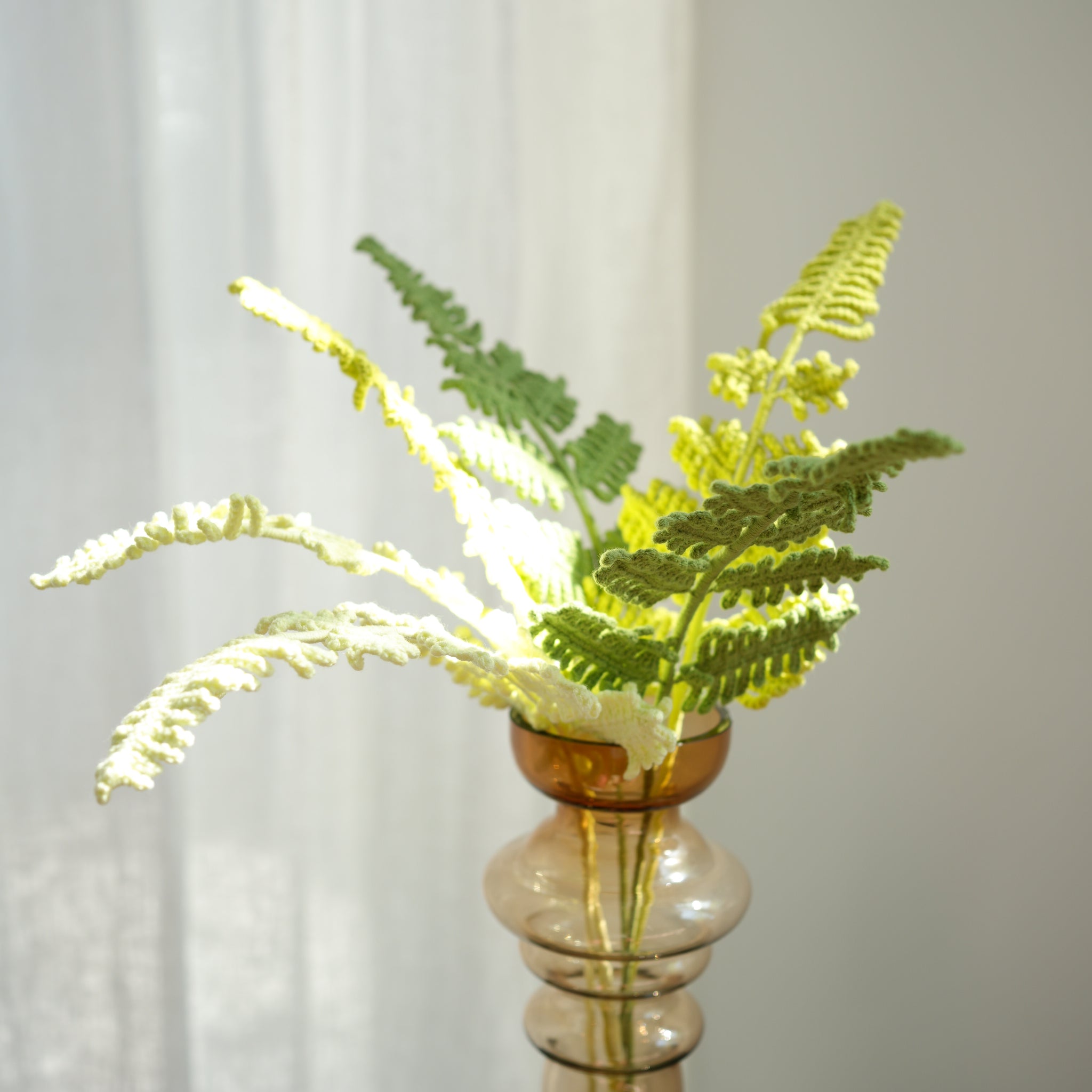 Rabbit's Foot Fern