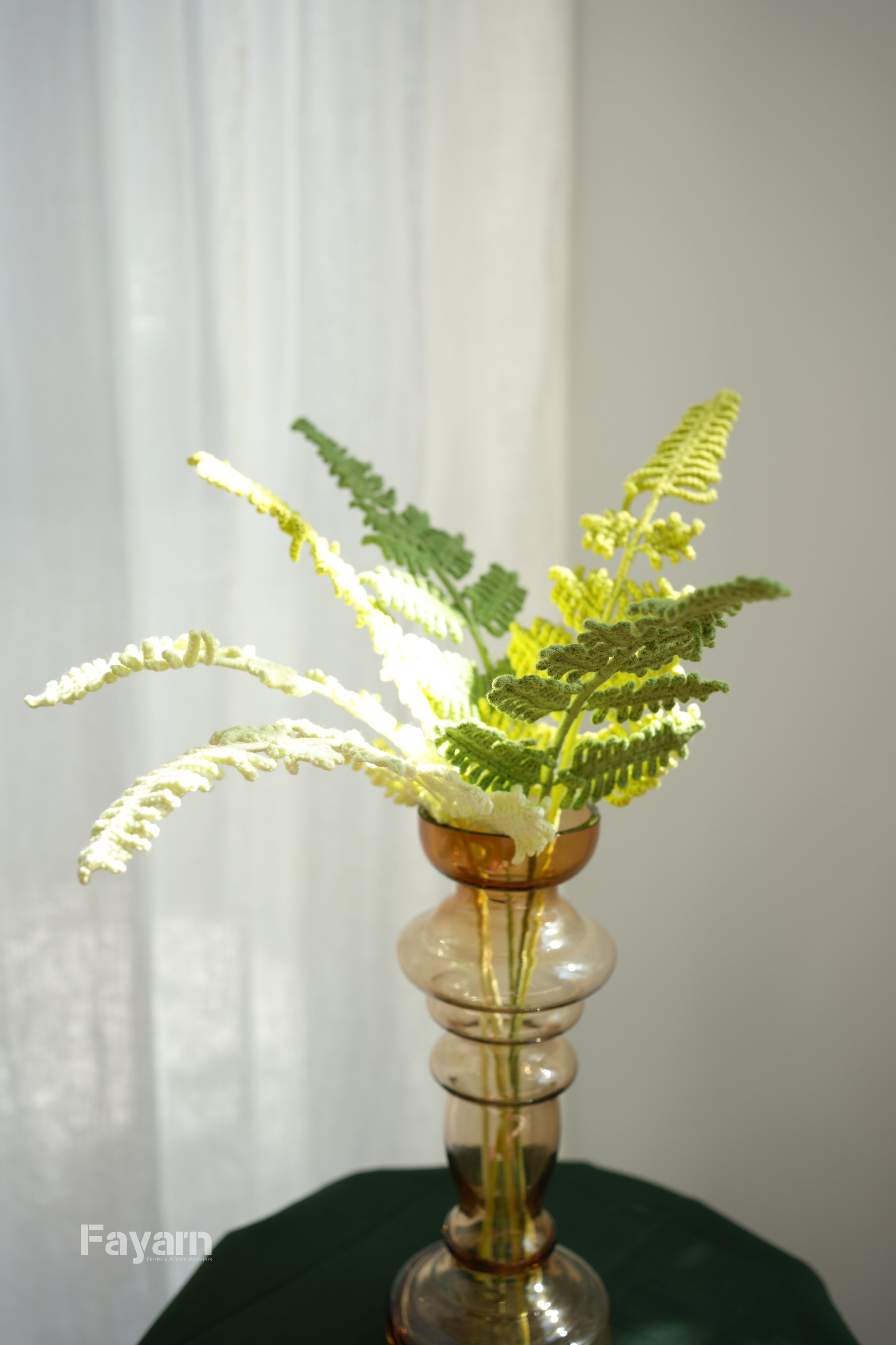 Rabbit's Foot Fern