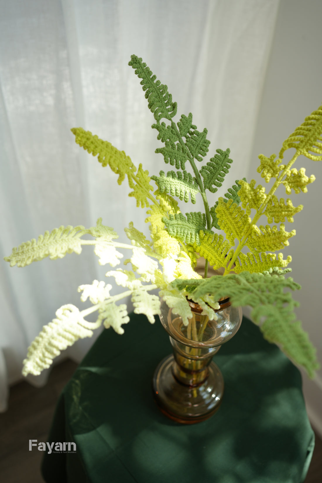 Rabbit's Foot Fern