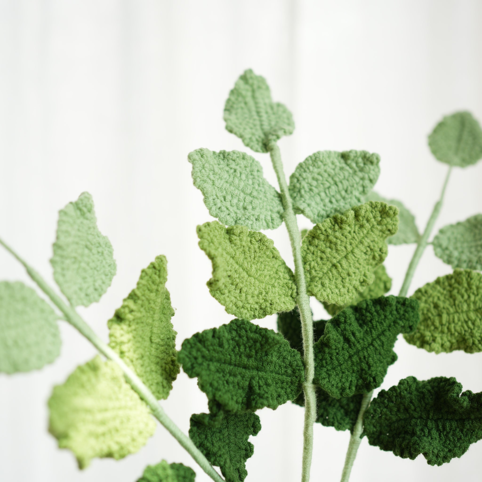 Rose Leaves