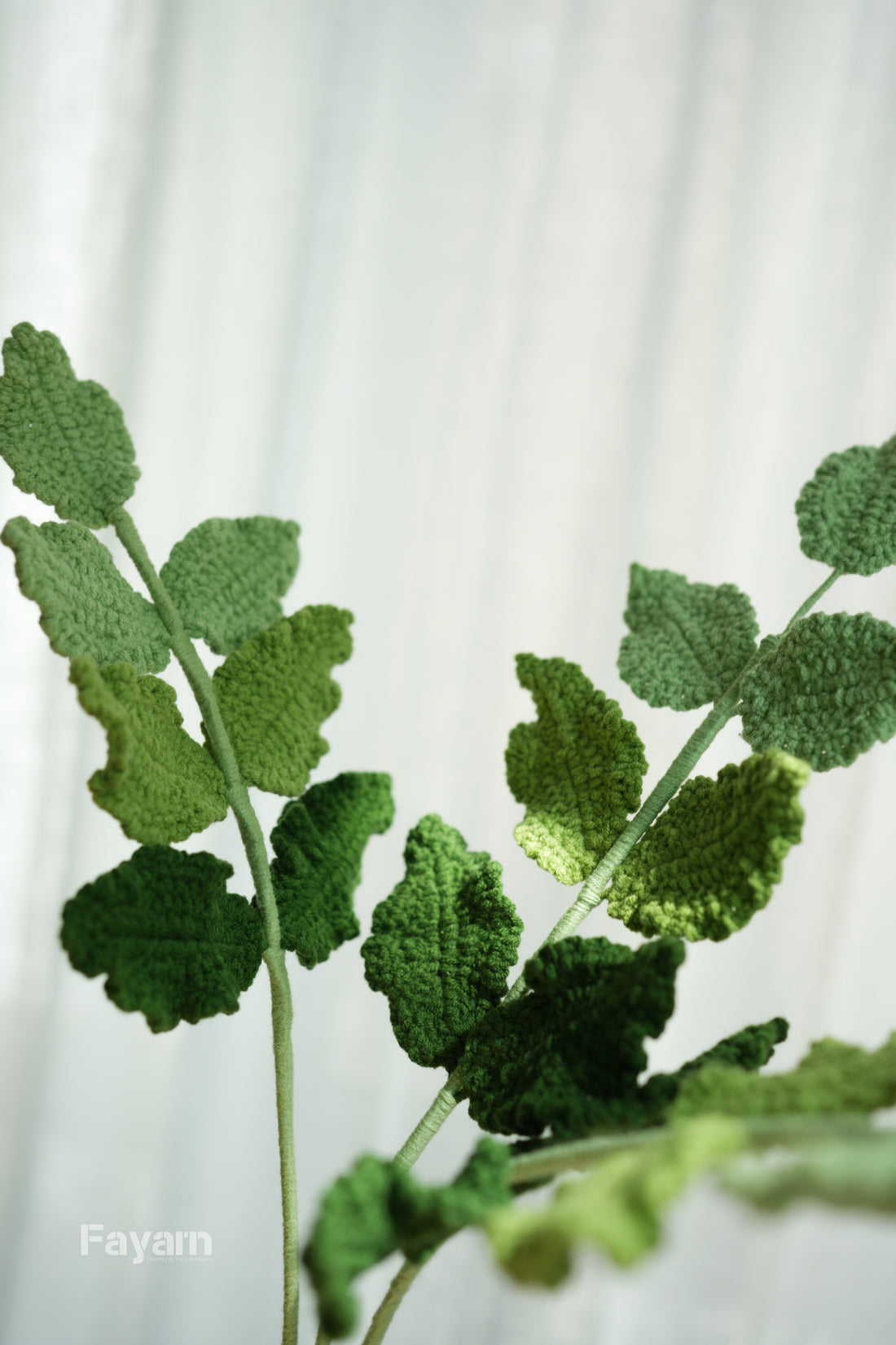 Rose Leaves