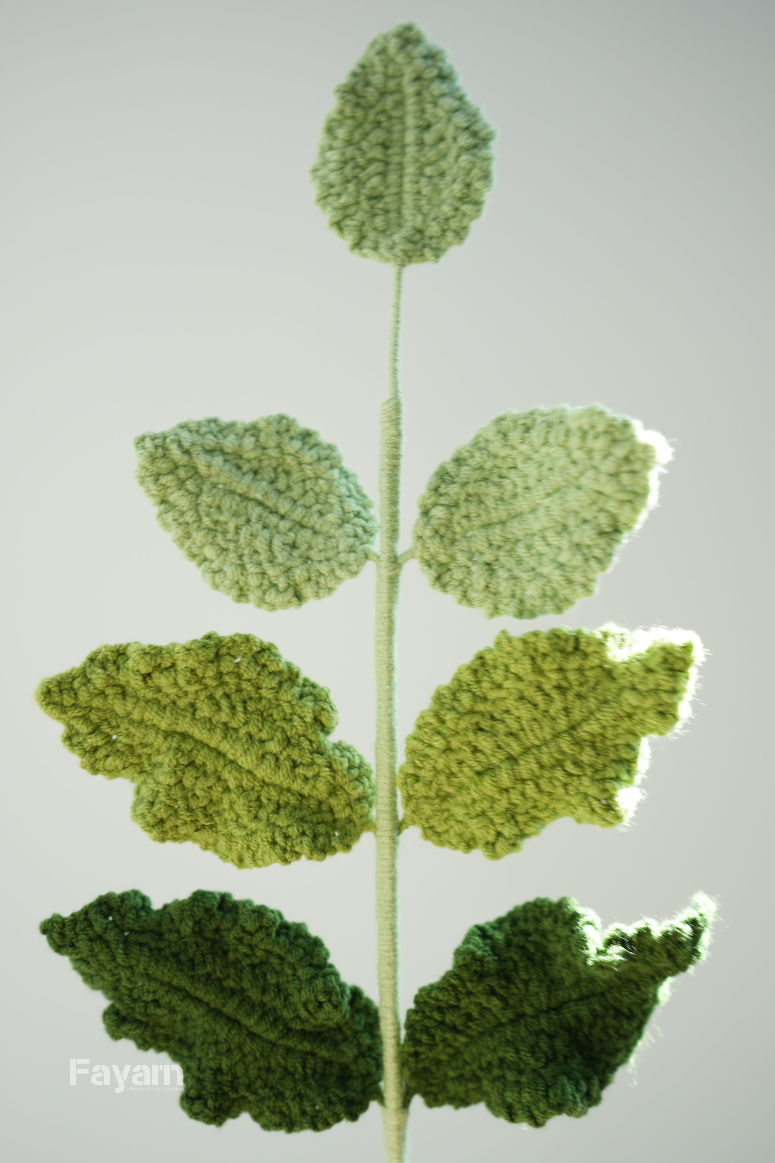 Rose Leaves