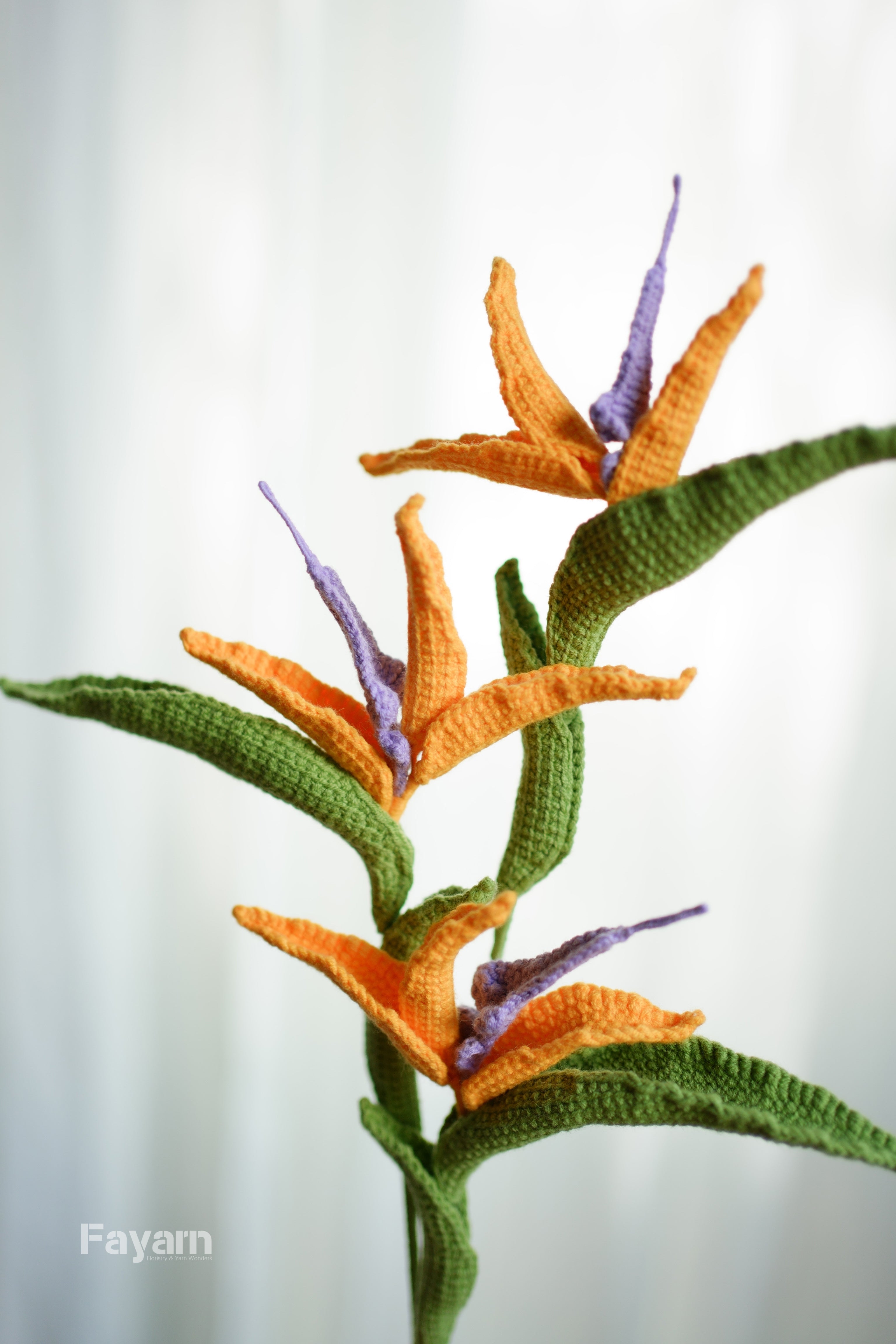 Strelitzia reginae (Bird of Paradise)
