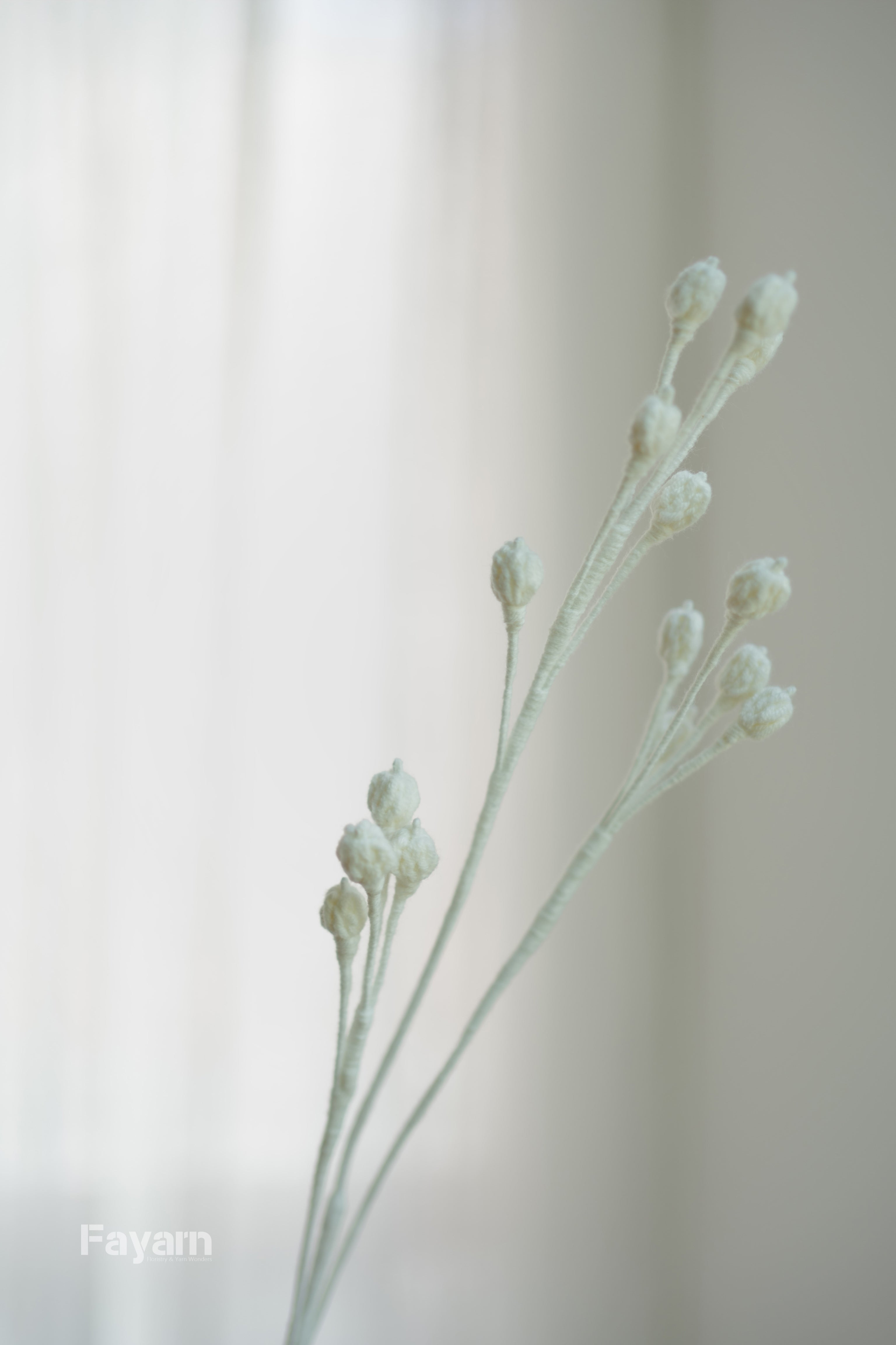 Symphoricarpus albus (Snowberry)